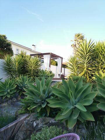 Boutique Villa Vogue 23 – 6 Bedrooms 6 Bathrooms gallery image 3