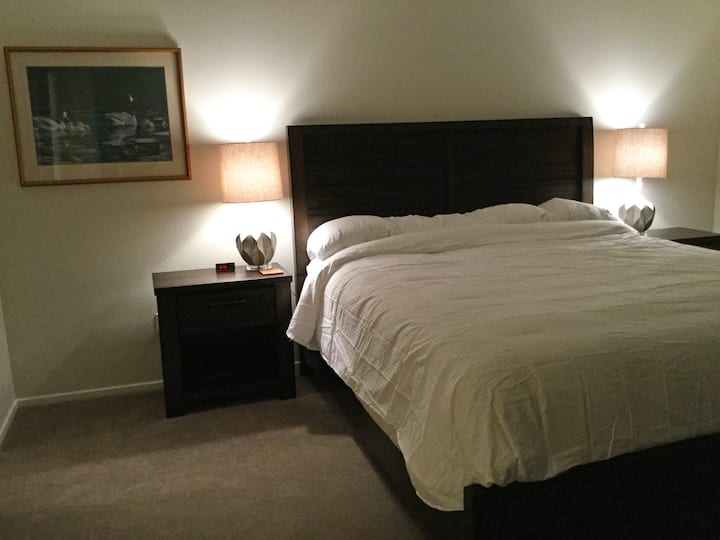 Hoofdslaapkamer met kings