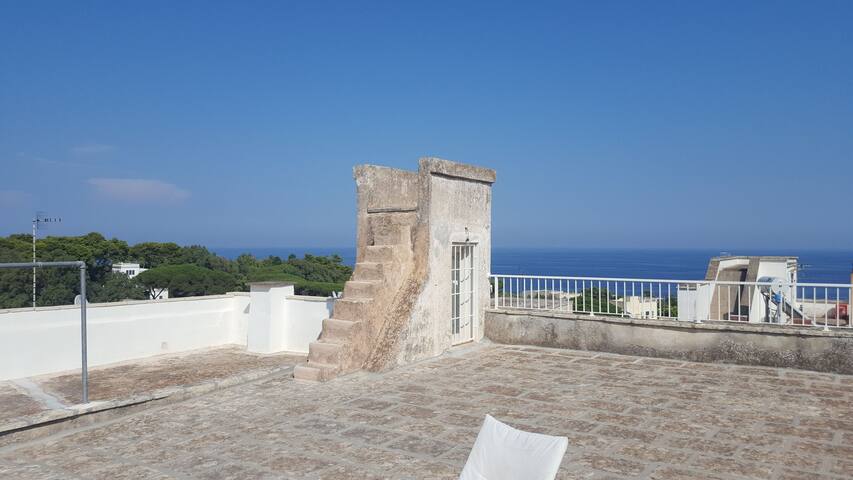 Casa Rosa gallery image 2