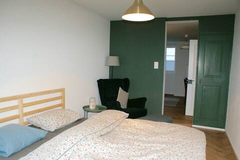 Lovely cozy  quiet apartment  in Glarus