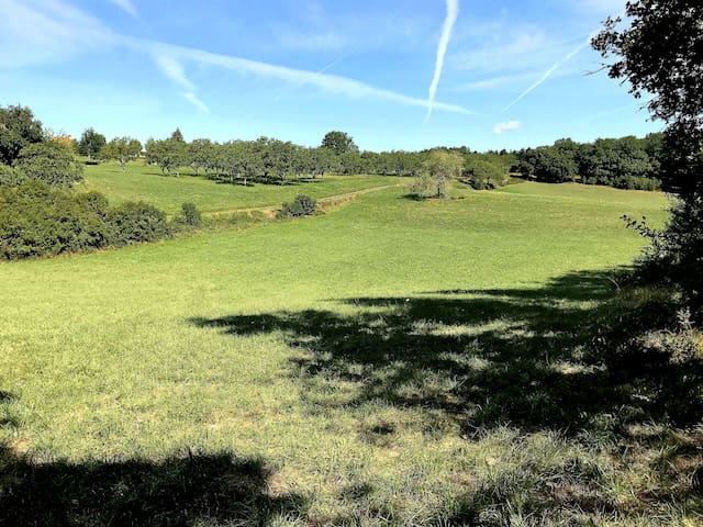 listing_image