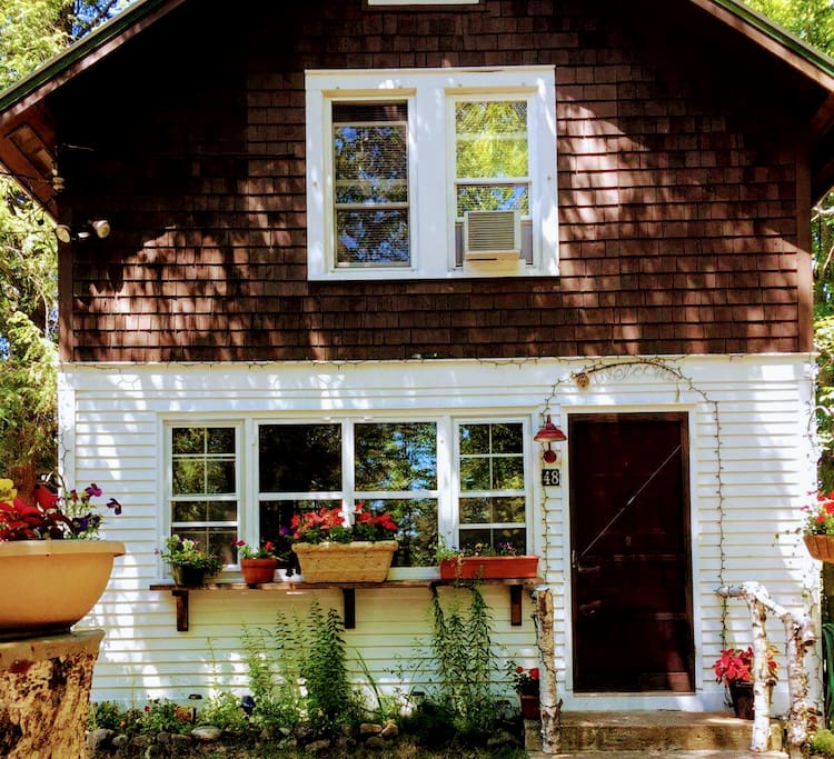 Enjoy all of the beautiful flowers surrounding the cabin throughout the summer months!