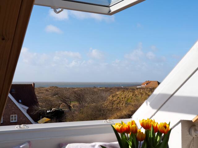 "Utkiek" im Naturparadies Juist