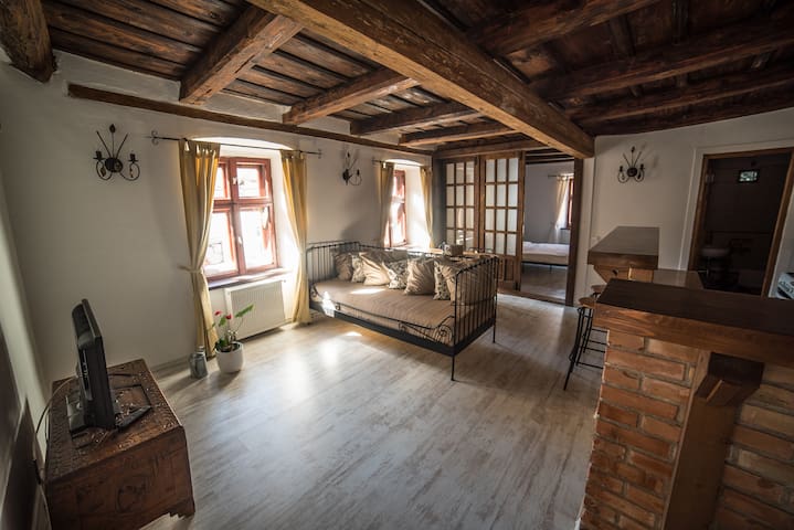 Historian’s Three-Room Apartment in the Old Town