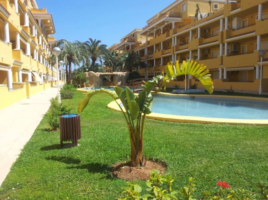 Jardin comunitario