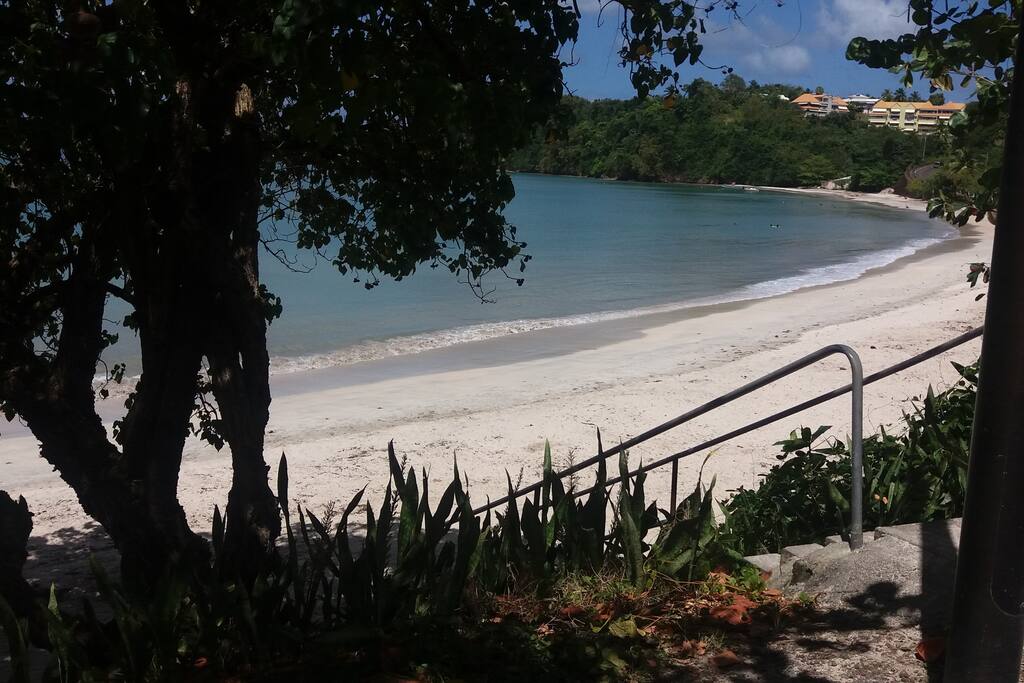 Plage des Raisiniers à 5 mm