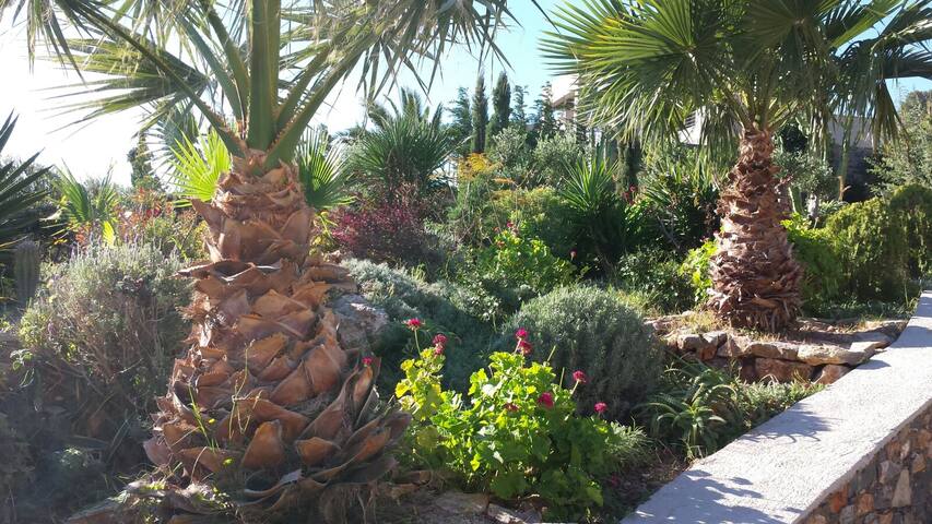 Villa Eureka gallery image 5