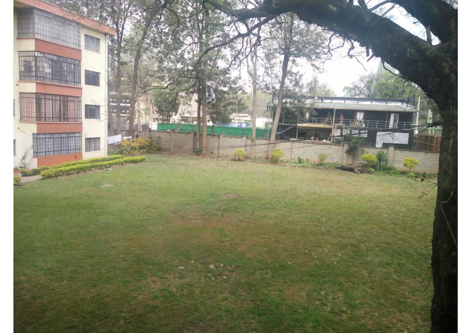 Outdoor garden space