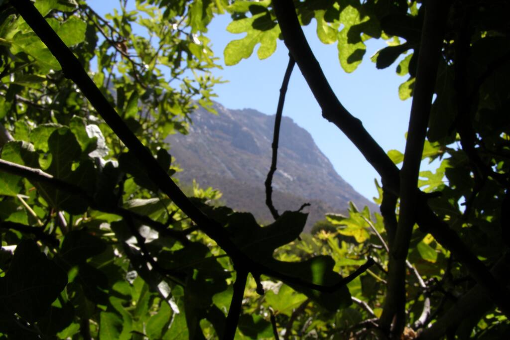 Montaña Cañahual