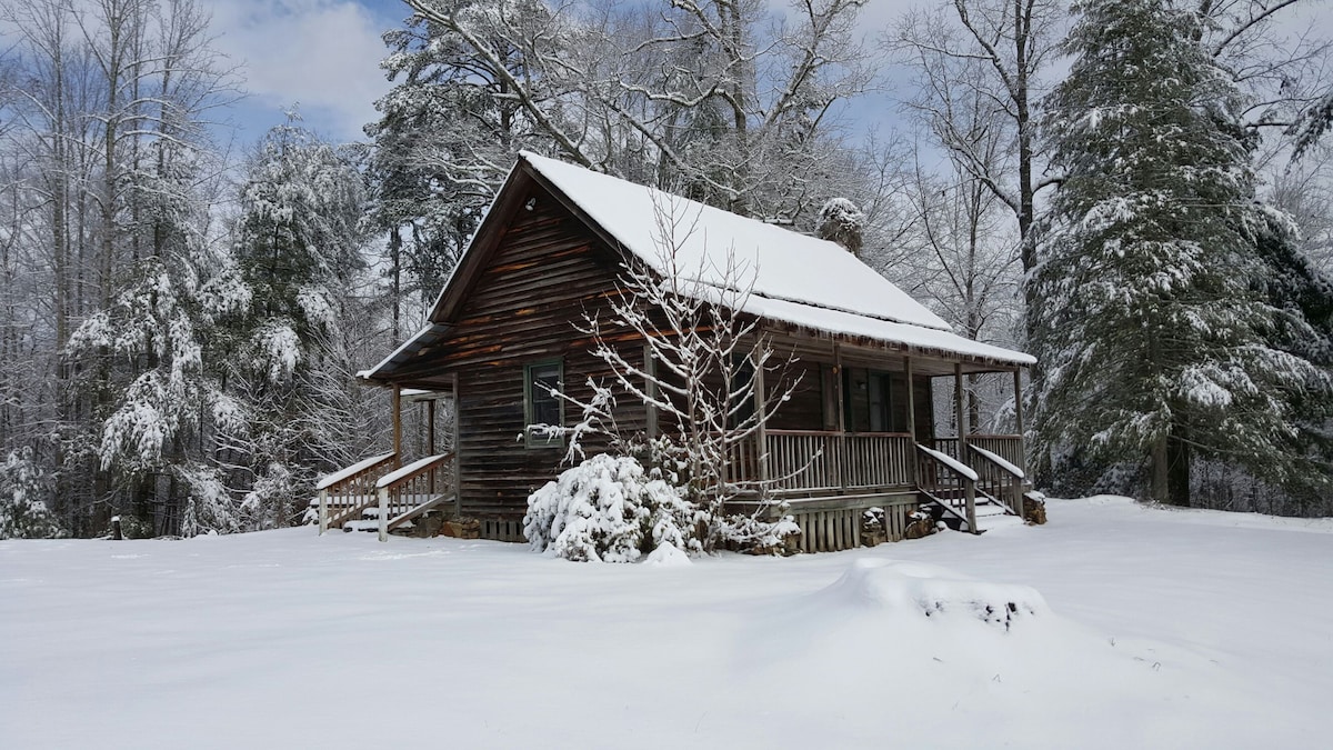 A rustic cabin is surrounded by a blanket of fresh snow, nestled among tall trees. The exterior showcases wooden siding and a spacious front porch. Snow-laden branches enhance the tranquil winter scene, with the landscape softly illuminated by a cloudy sky.