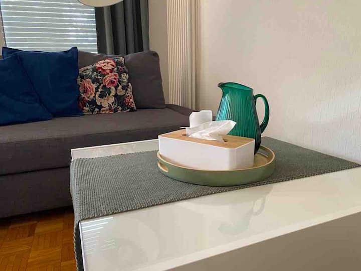Lovely 4-bedroom Place With A Free Parking - Lausanne