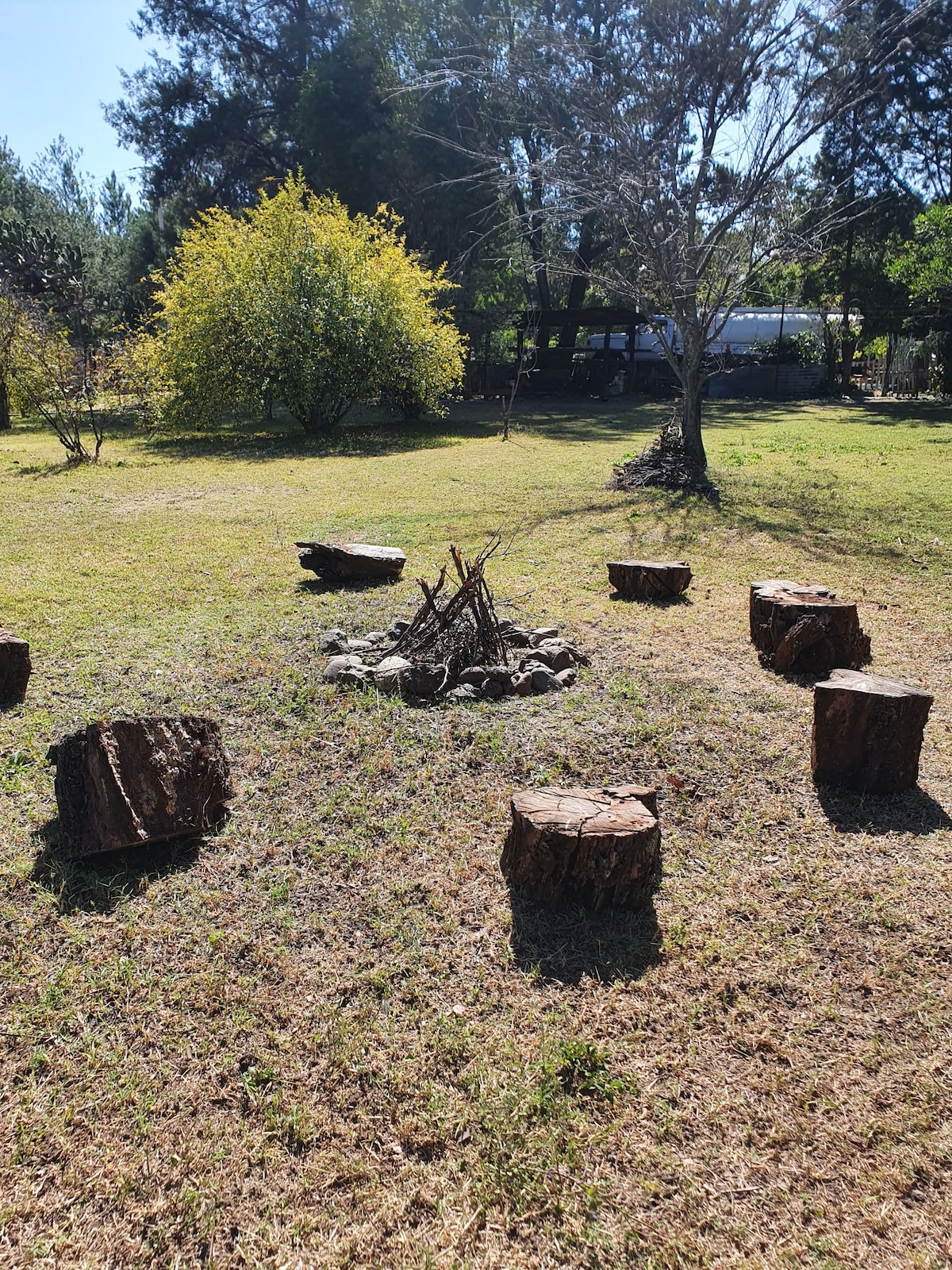 A designated fire pit area is visible, surrounded by circular seating made from tree stumps. The ground is covered in grass, and a stone circle encases the fire pit. Lush greenery and trees can be seen in the background, creating a natural outdoor setting.