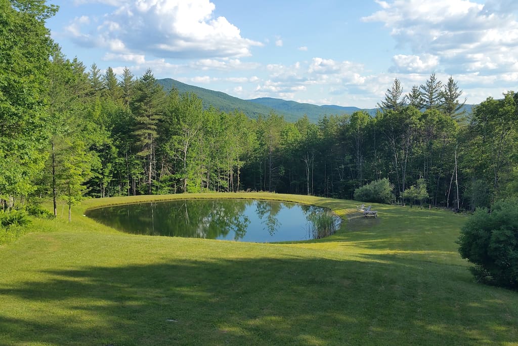 View South from Deck back yard and swimming pond