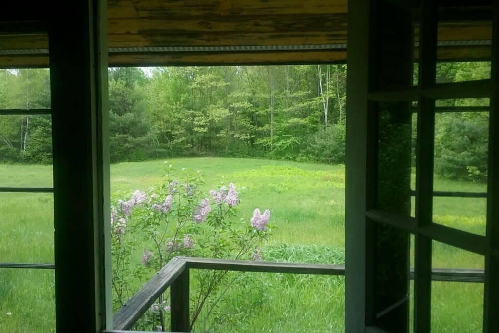 Looking out the front door