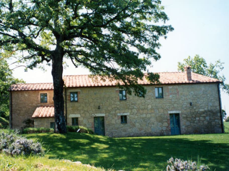 Casali