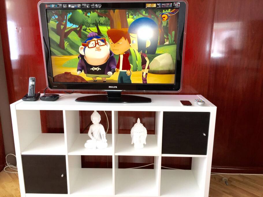 La T.V de 46" .