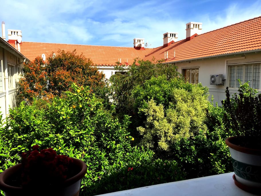 Courtyard