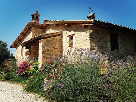 Il Casale di Fiore - Apartment in Umbria