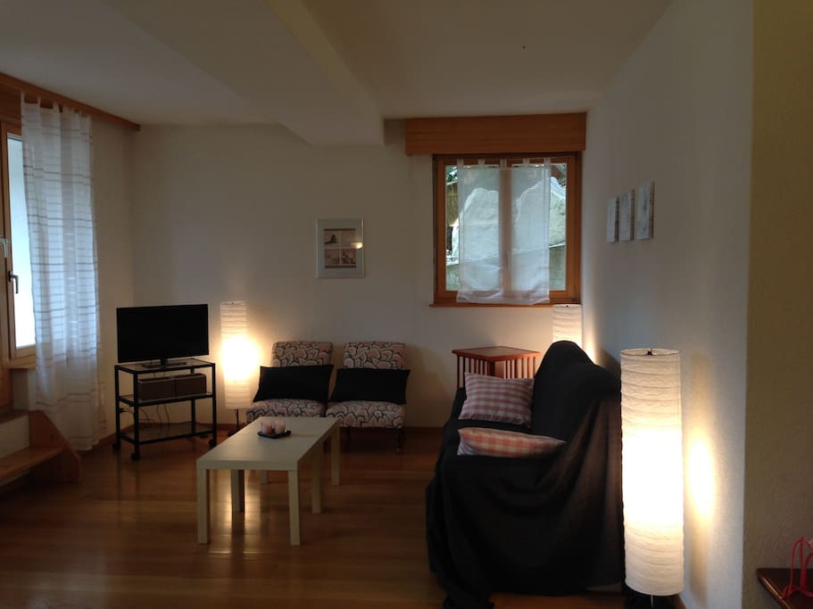 Salon with sofabed (140x190)