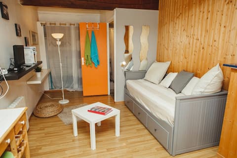 Annonce Airbnb populaire: garden level studio facing the mountains à Gresse En Vercors
