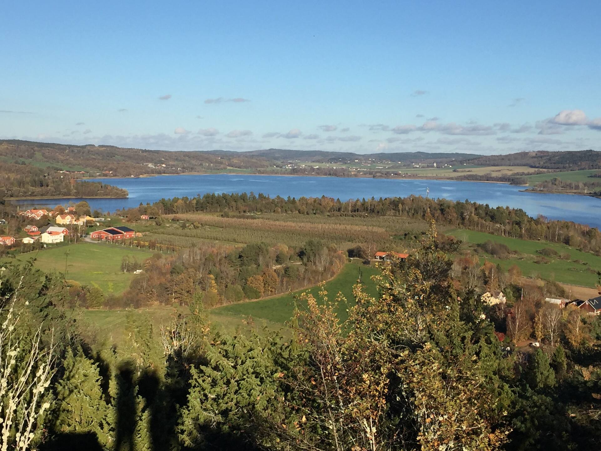 Stay at an apple orchard in beautiful Skärstadalen
