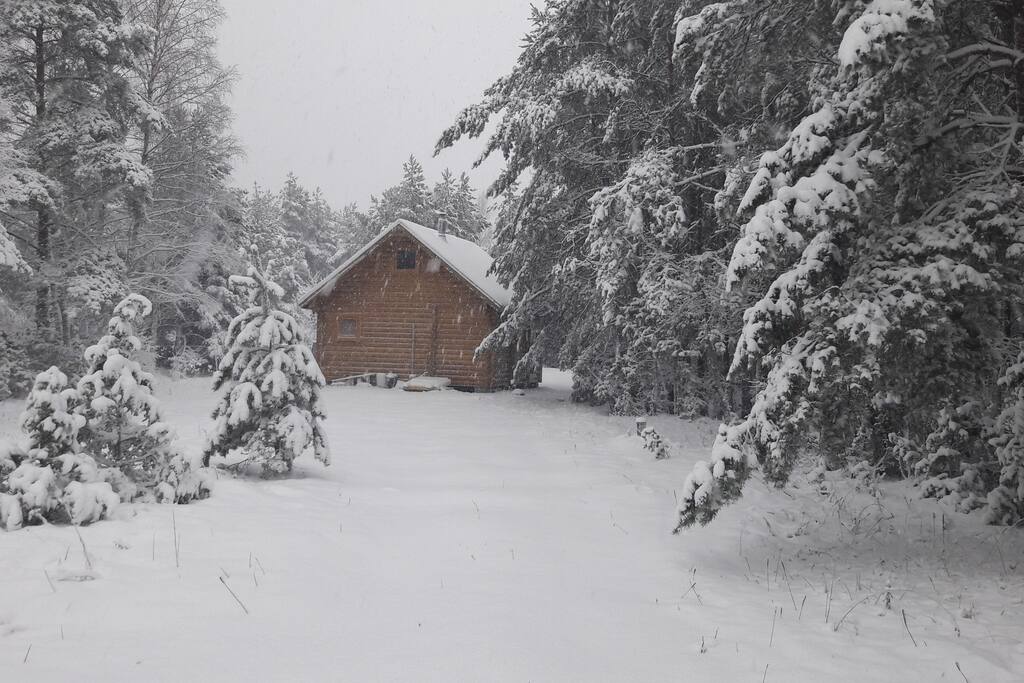 winter colors, when there is snow