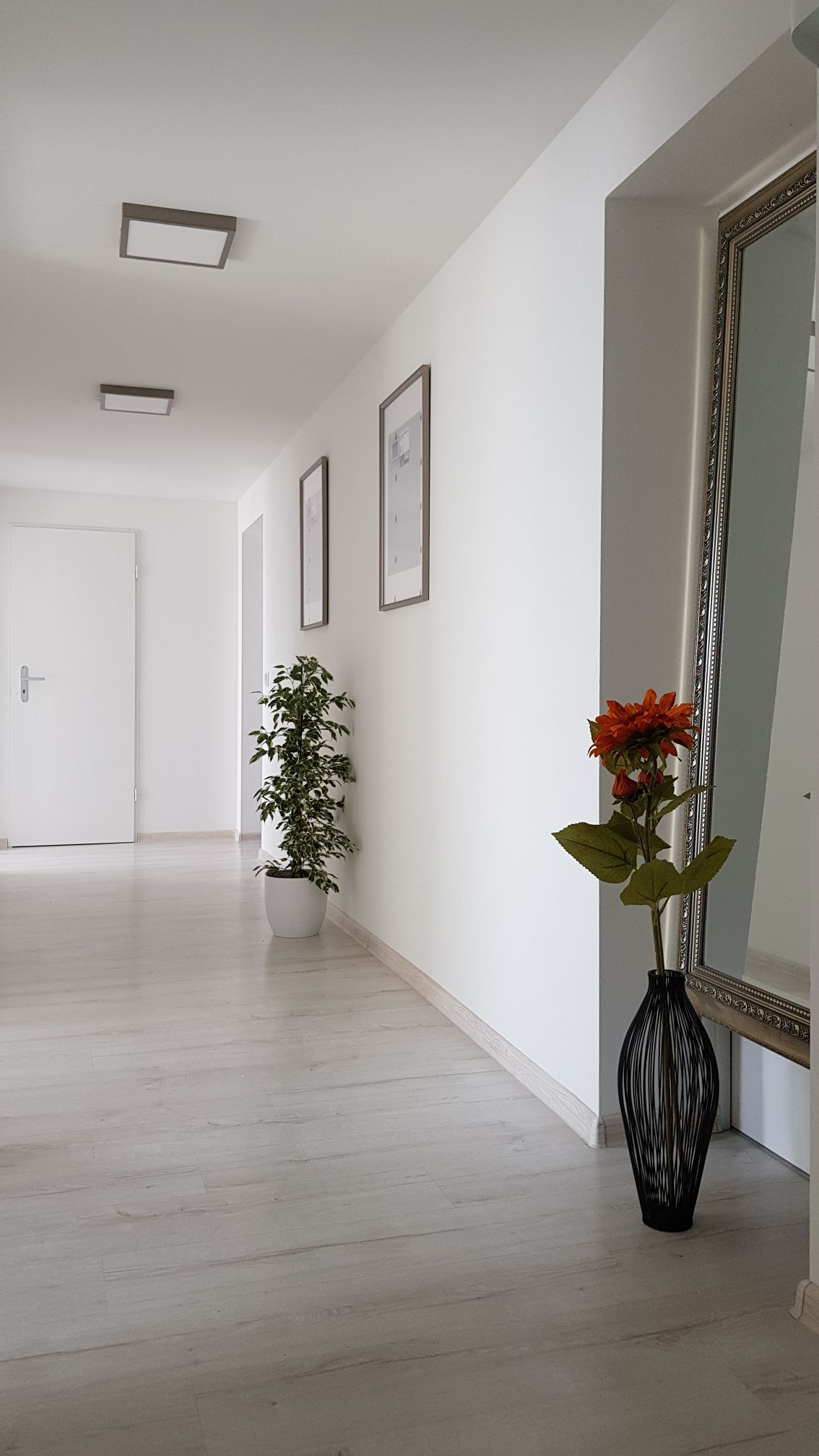 A bright hallway is illuminated by overhead lights, featuring light-colored walls and flooring. A tall mirror is positioned to one side, next to a slim vase containing a flowering plant. Framed artwork is displayed along the walls, enhancing the modern aesthetic.