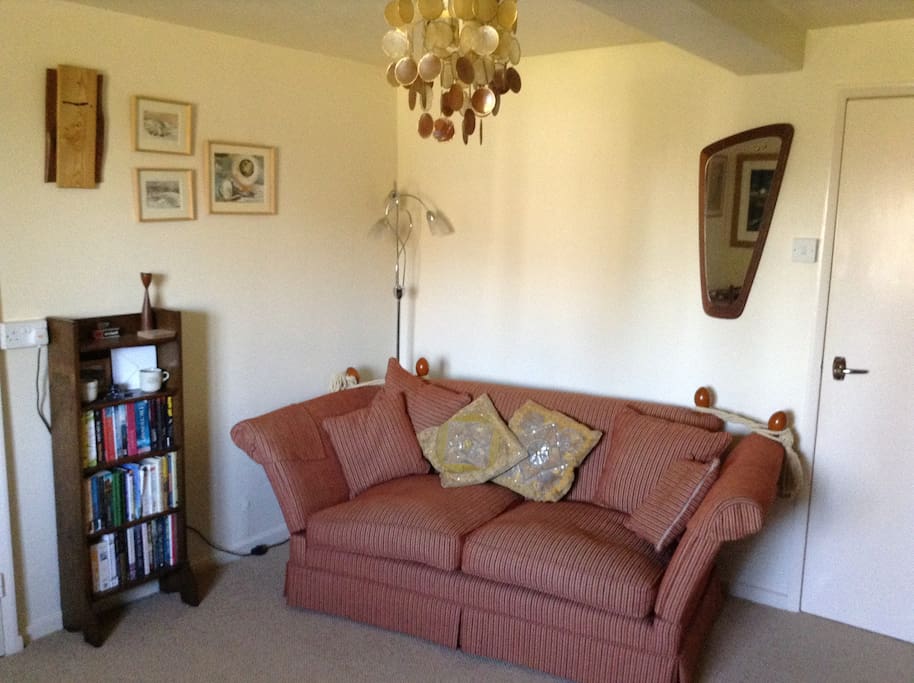 Living room with lots of interesting books to read and Smart HD TV with DVD player and Netflix