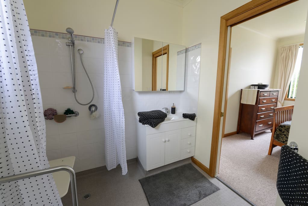 Non slip bathroom with hand held shower, grip rails and seat