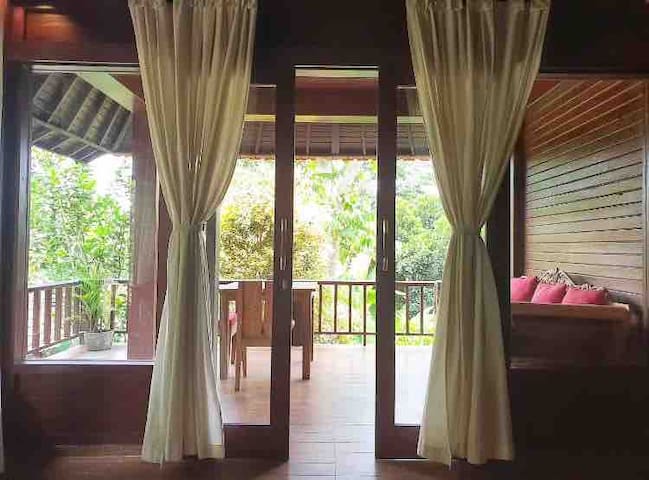 secluded jungle  #5