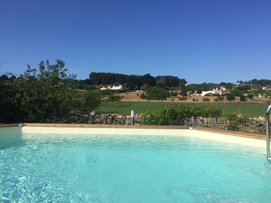 Landscape from pool