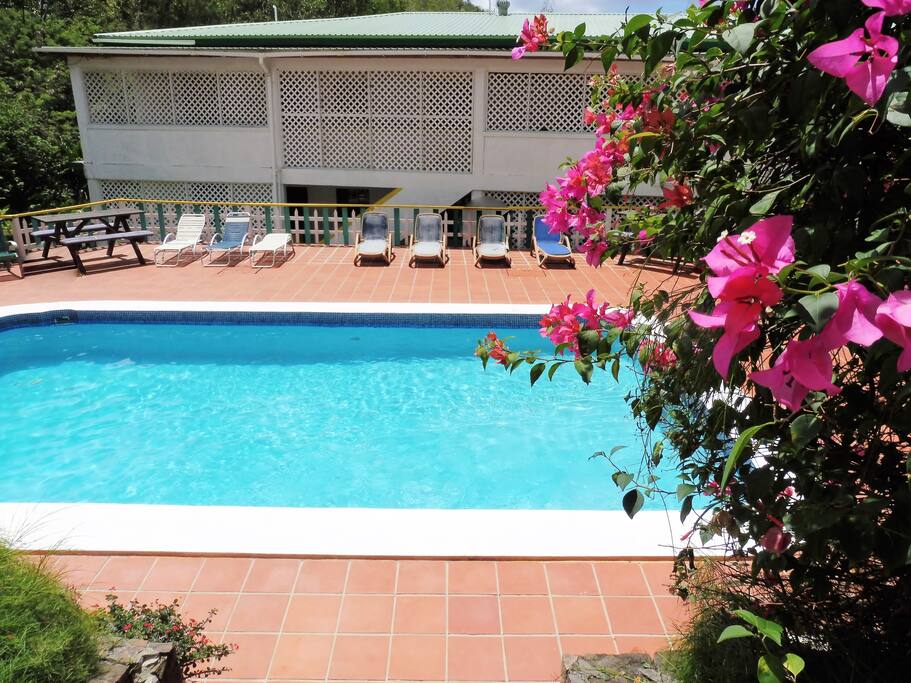 Pool Seating