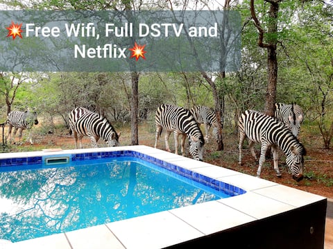 Kruger Park Vacation Rentals Homes South Africa Airbnb