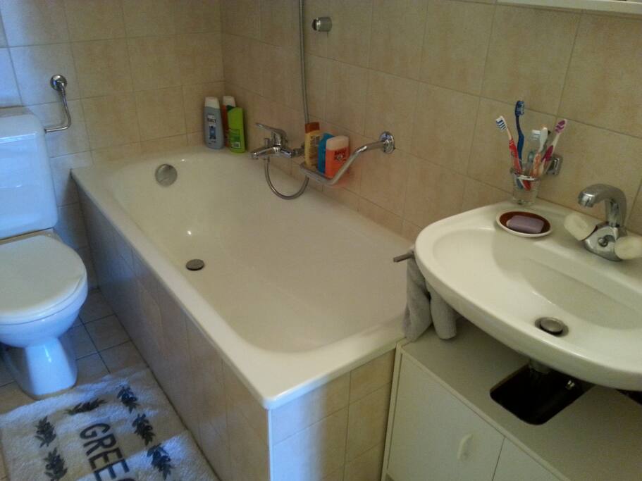 Salle de bain (baignoire-douche avec rideau)