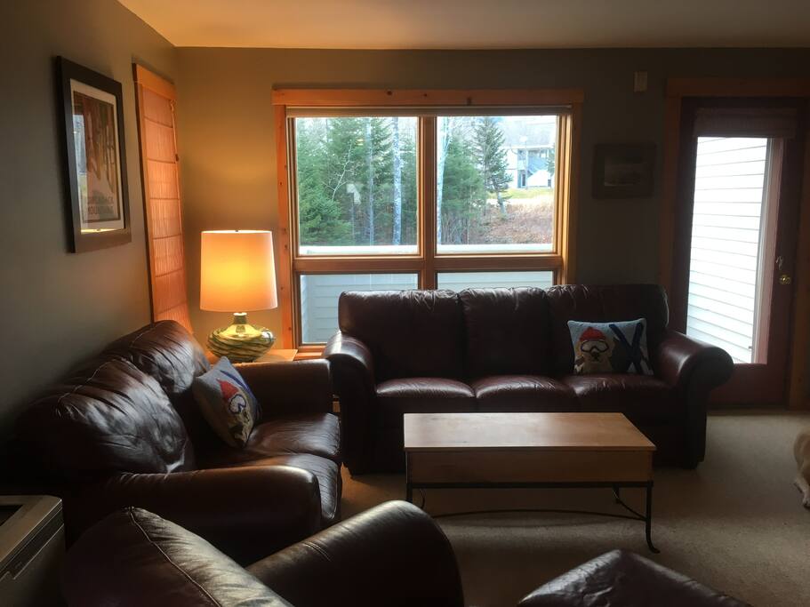 Living room with fireplace and mountain views