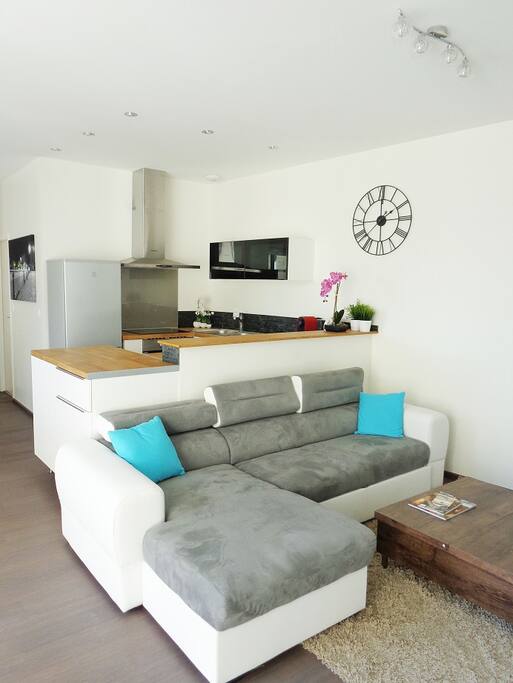 Salon / living room 3