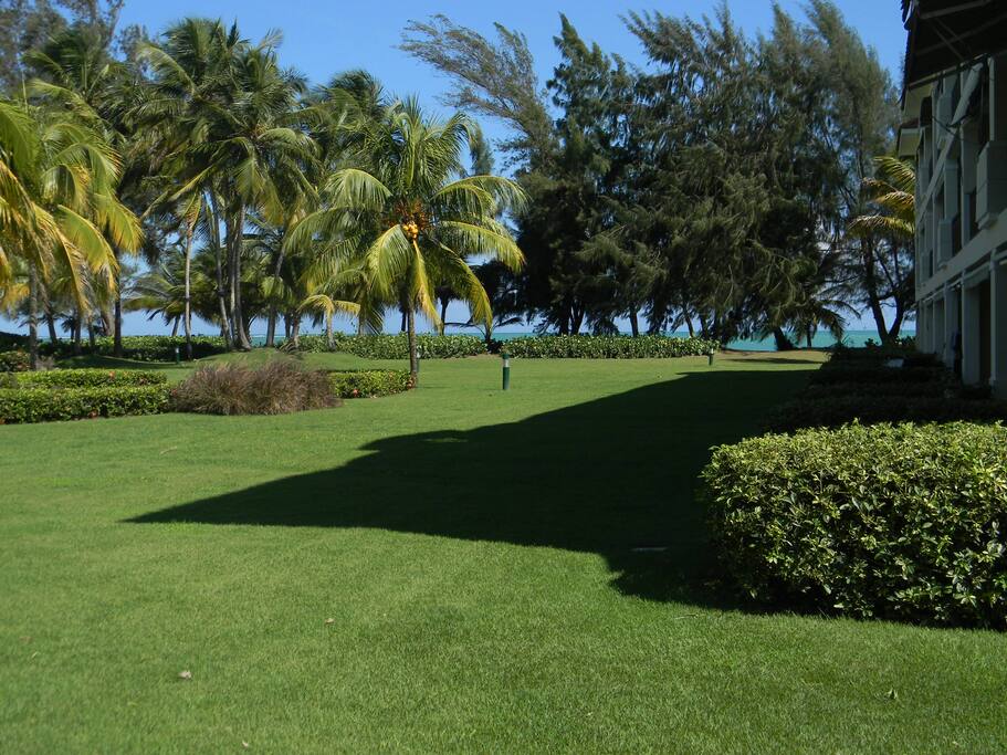 Garden with Beach Access