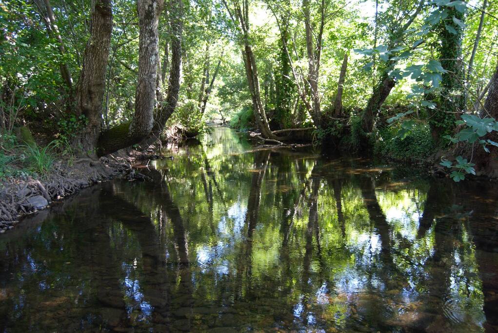 River Sever in TerraFazBem