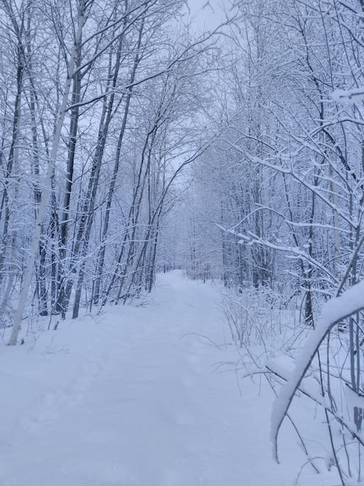30 km of Trails to Explore