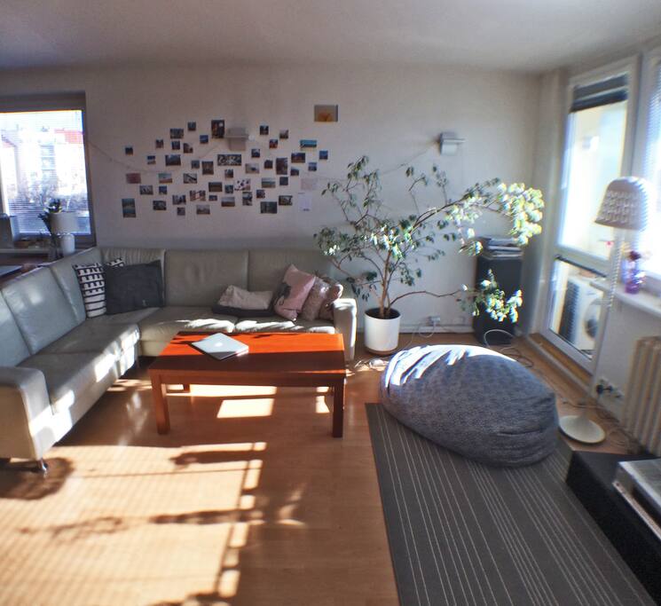 Living room - no TV just radio and bean bag - hipster! :)