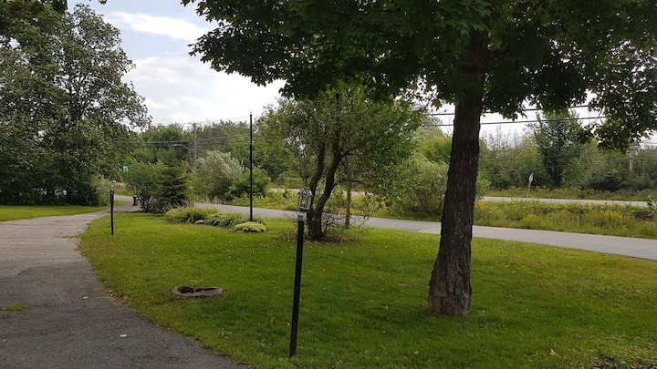 Cozy Flat, Many Trees, Close To Downtown Ottawa - Ottawa