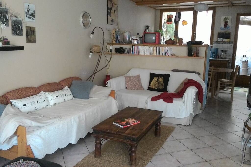 salon