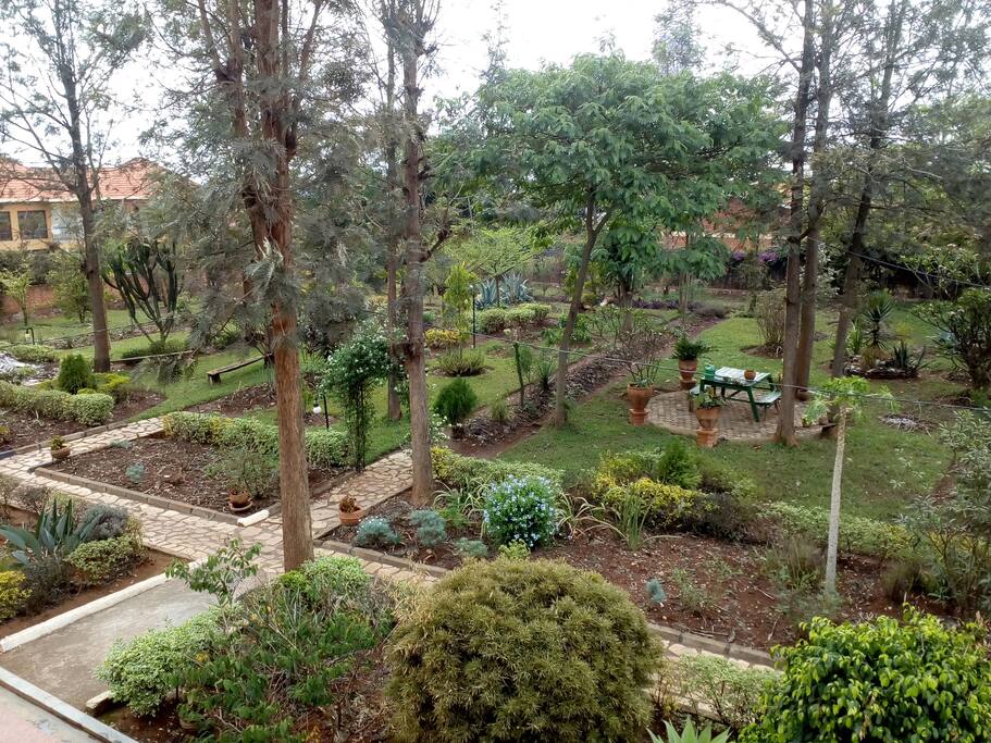 Front Garden