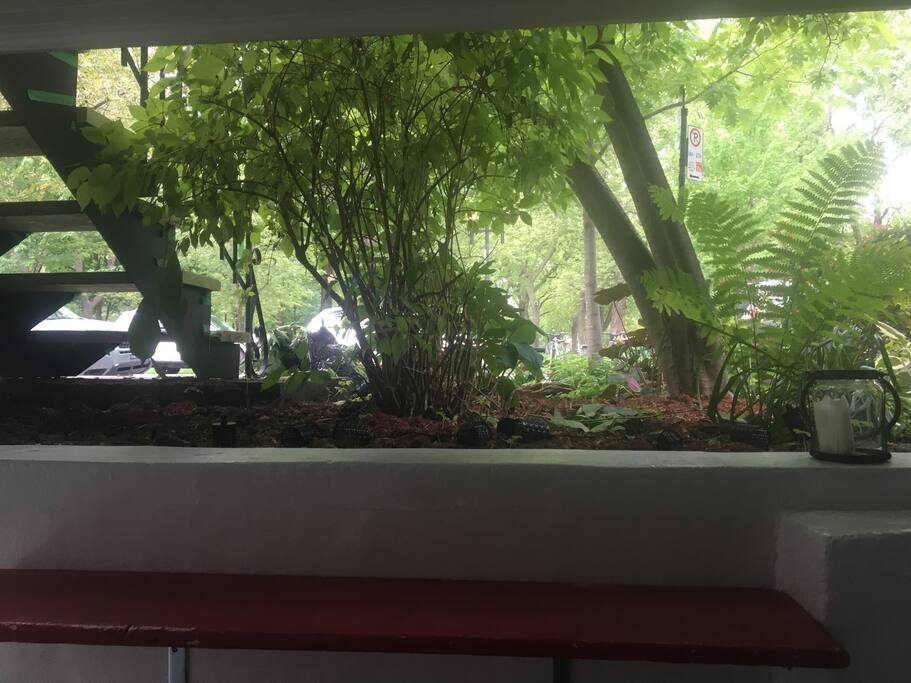 View from the terrace/ Vue de la terrasse
