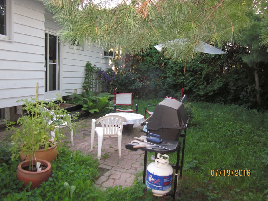 Backyard with BBQ for guests