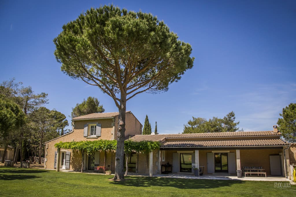 Une maison face au soleil . avec devant un jardin de 8000 m 2