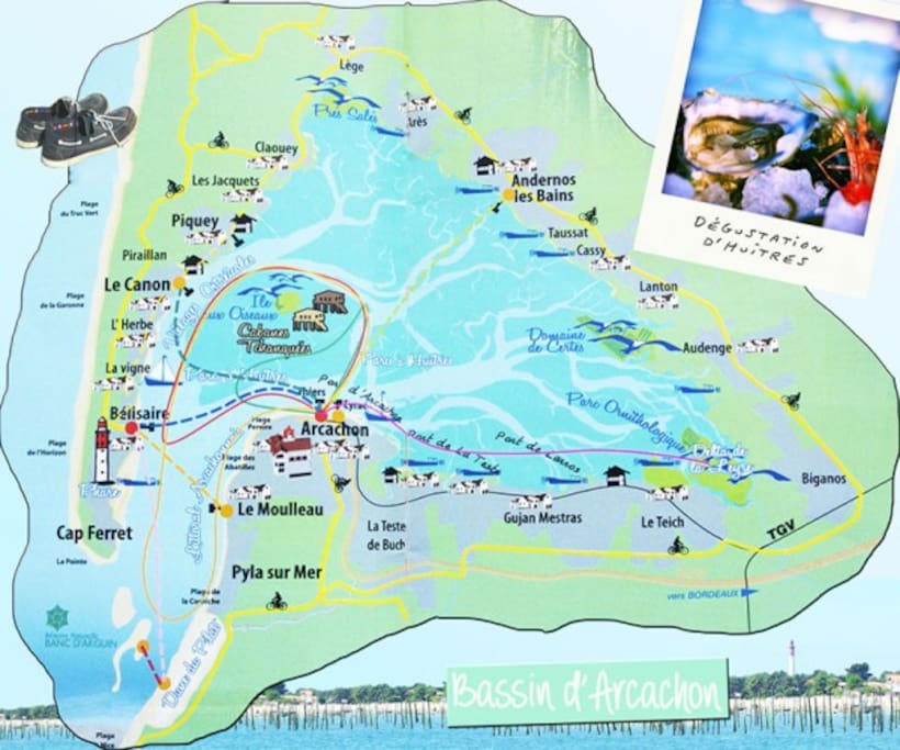 Les charmes du bassin d'Arcachon