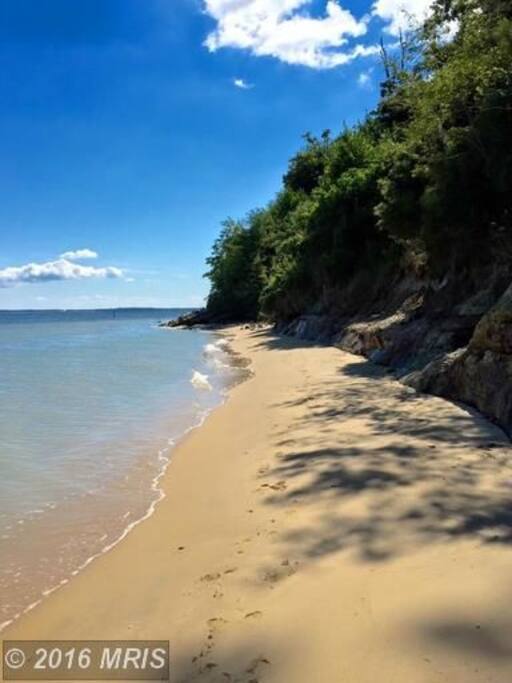 Calvert Cliffs