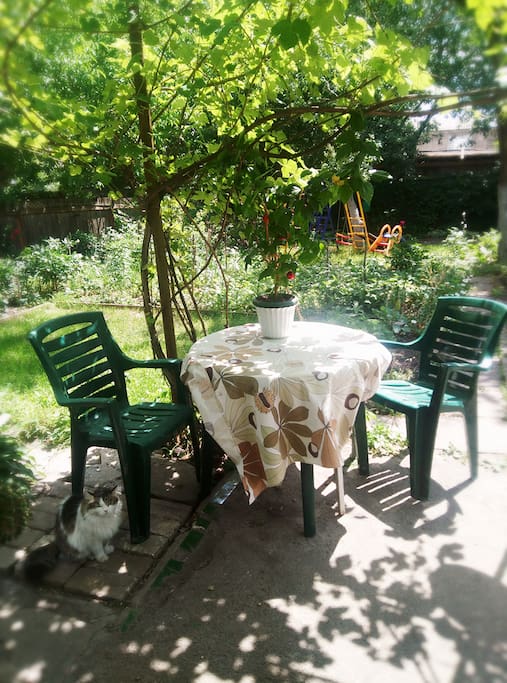 perfect morning in the garden with a cup of coffee