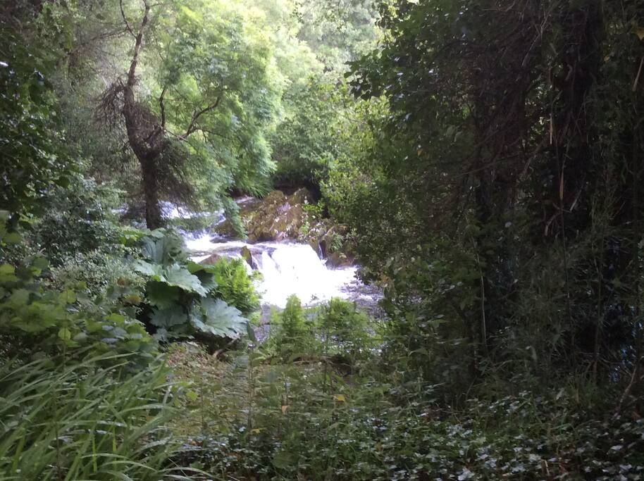 One of the many waterfalls along the river, with footpath.